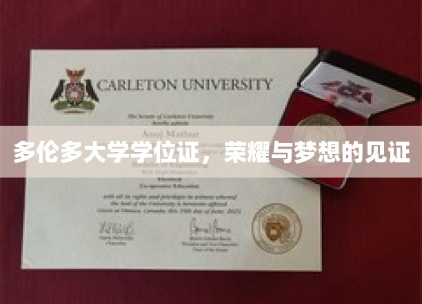 多伦多大学学位证，荣耀与梦想的见证