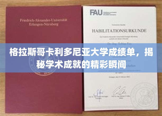 格拉斯哥卡利多尼亚大学成绩单，揭秘学术成就的精彩瞬间