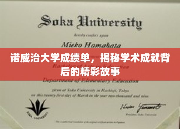 诺威治大学成绩单背后的璀璨人生轨迹