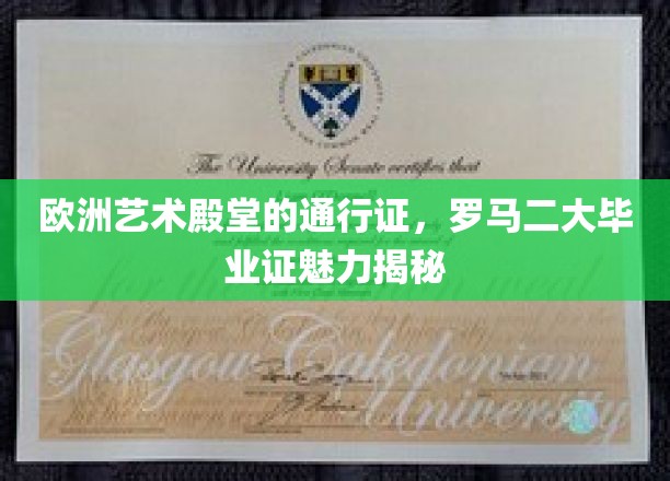探索罗马二大艺术宝库，毕业证书背后的欧洲艺术通行证魅力大揭秘