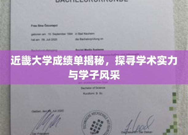 近畿大学成绩单背后的学术之光，一窥学子卓越风采