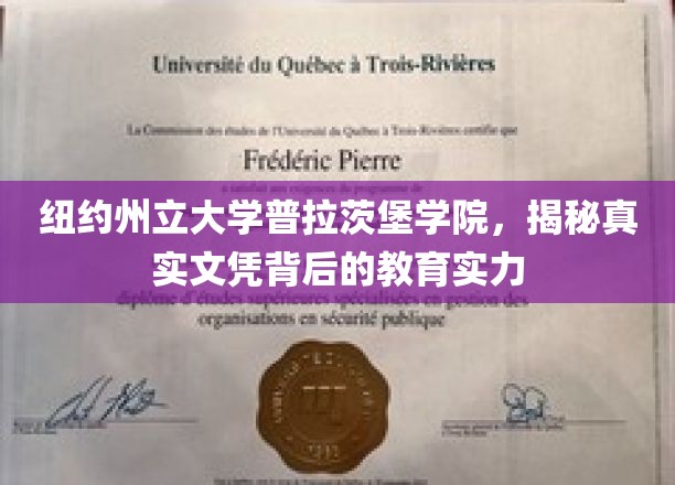探寻纽约州立大学普拉茨堡学院，文凭背后的教育魅力