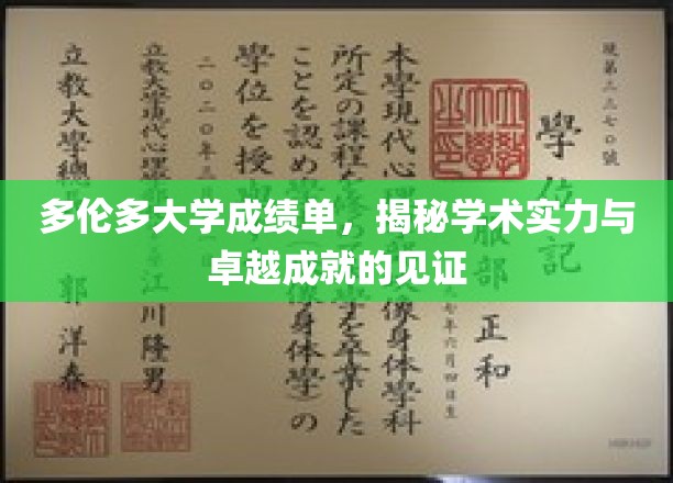多伦多大学成绩单，窥探学术荣耀的深度解读