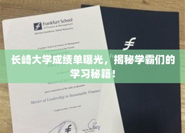 长崎学霸养成记，揭秘长崎大学成绩单背后的学习奥秘