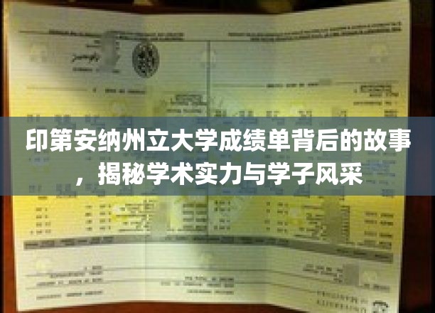 印第安纳州立大学成绩单背后的故事，揭秘学术实力与学子风采