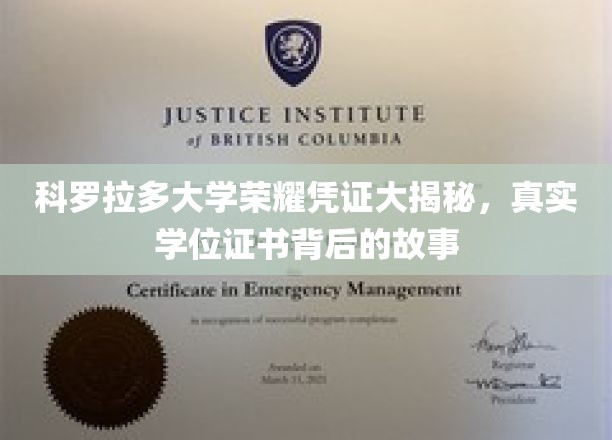 揭开科罗拉多大学荣耀凭证之谜，探索真实学位背后的传奇故事