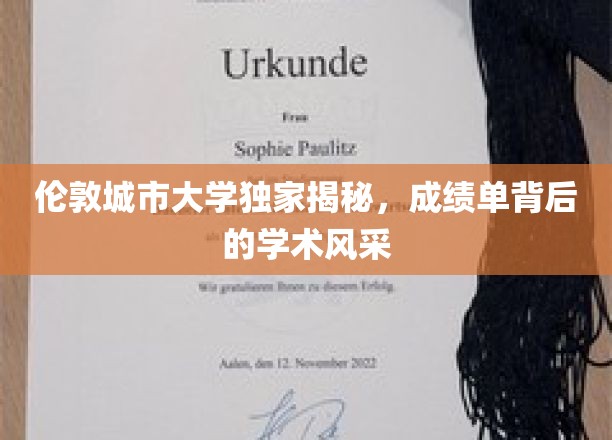 伦敦城市大学深度解析，探寻成绩单背后的学术魅力