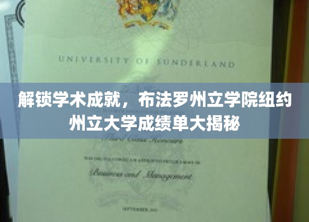 探寻学术奥秘，布法罗州立与纽约州立大学成绩单背后的秘密世界