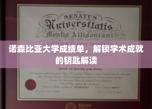 诺森比亚大学成绩单解码，开启学术荣耀的密钥之旅
