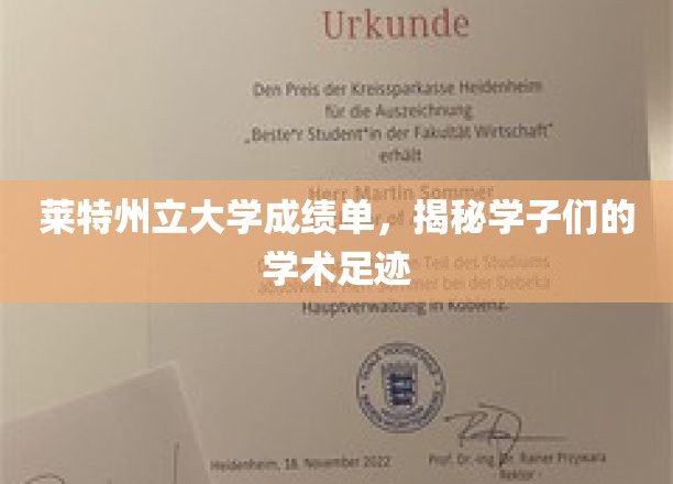 莱特州立大学成绩单，探寻学子们的学术轨迹