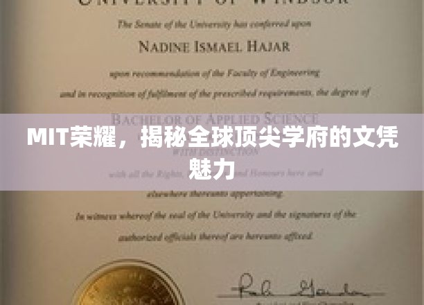 MIT光芒，解码世界顶级大学的文凭魔力