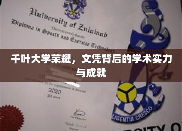 千叶大学荣耀，文凭背后的学术实力与成就