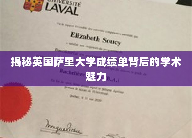 探寻萨里大学成绩单，解码学术卓越的秘密花园