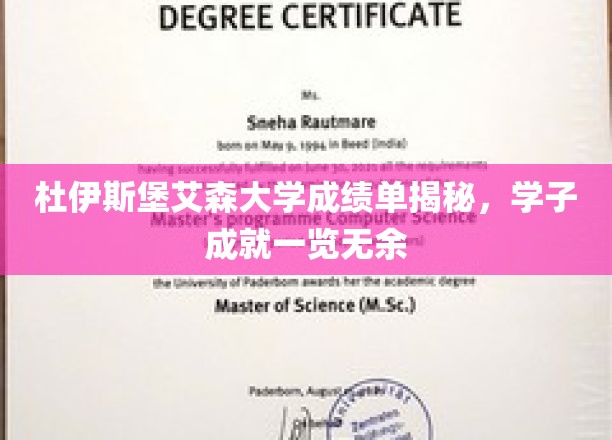 杜伊斯堡艾森大学成绩单解析，学子辉煌成就尽收眼底