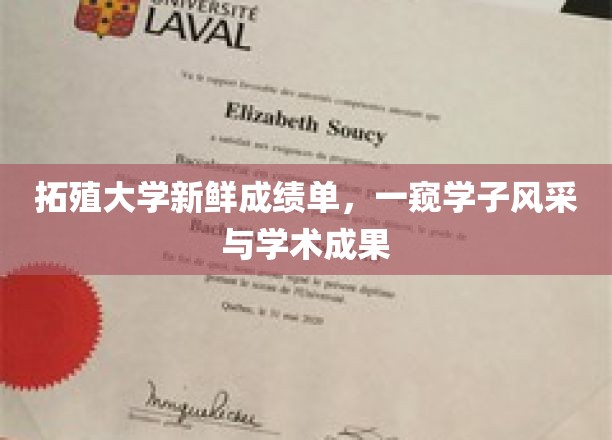 拓殖大学新鲜成绩单，一窥学子风采与学术成果