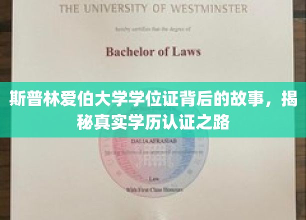 斯普林爱伯大学学位证，探寻学历认证背后的传奇历程