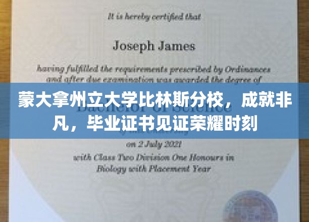 蒙大拿荣耀起点，比林斯分校毕业证书铸就非凡人生篇章