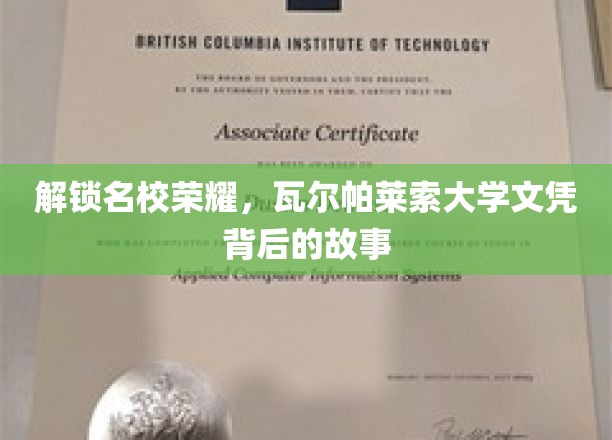 瓦尔帕莱索荣耀揭秘，探寻名校文凭背后的传奇之路