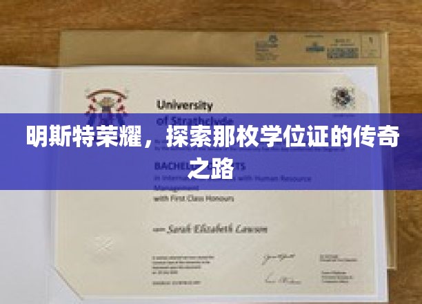 学位之光，明斯特荣耀背后的传奇学位证探寻之旅