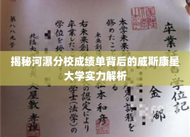揭秘河瀑分校成绩单背后的威斯康星大学实力解析