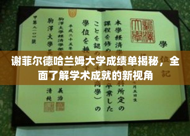 解码谢菲尔德哈兰姆大学成绩单，探索学术成就的独到视野