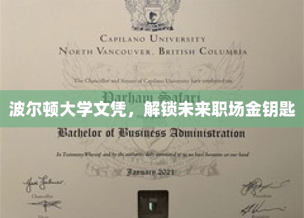 波尔顿大学文凭，开启职场精英之门