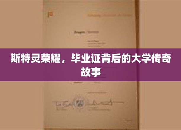 斯特灵荣耀，毕业证背后的大学传奇故事