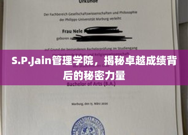 探寻S.P.Jain管理学院卓越成就的秘密引擎