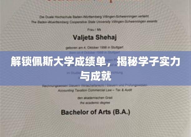 佩斯大学成绩单背后的学子实力与辉煌成就
