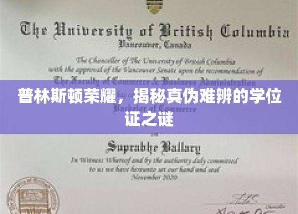 普林斯顿荣耀，揭秘真伪难辨的学位证之谜