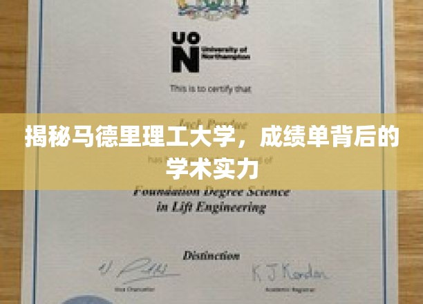 探索马德里理工卓越学术底蕴，揭开成绩单背后的神秘面纱