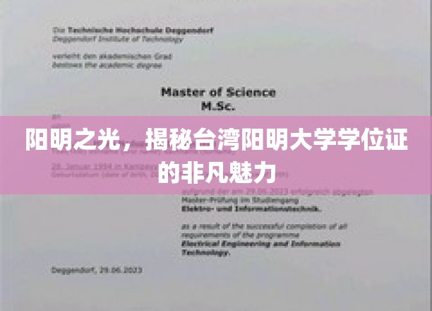 台湾阳明大学学位证，探寻隐藏其中的独特韵味