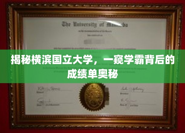 探秘横滨国立大学，一探学霸背后的成绩单之谜