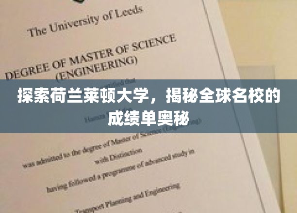 解锁莱顿大学传奇，揭秘欧洲顶级学府的卓越成绩背后