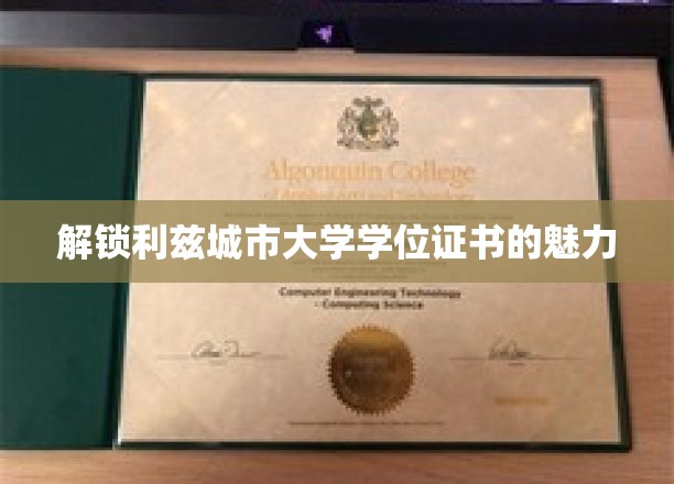 探寻利兹城市大学学位证书背后的独特价值