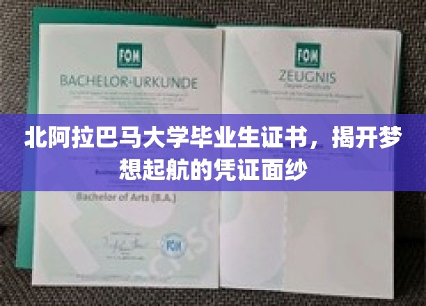 梦想启航，北阿拉巴马大学证书见证青春足迹