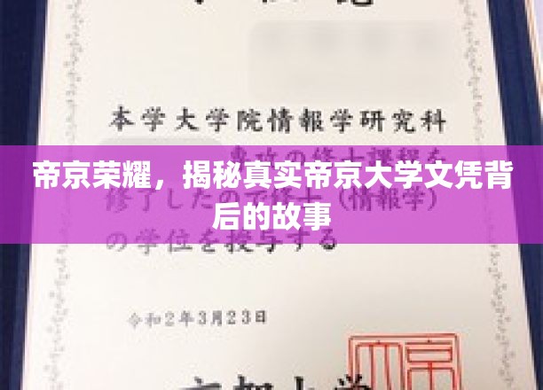 帝京荣耀，揭秘真实帝京大学文凭背后的故事