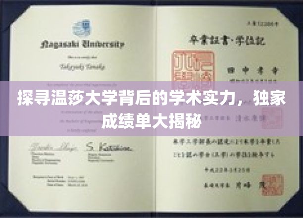 揭开温莎大学卓越教育面纱，揭秘顶尖学术成就的背后