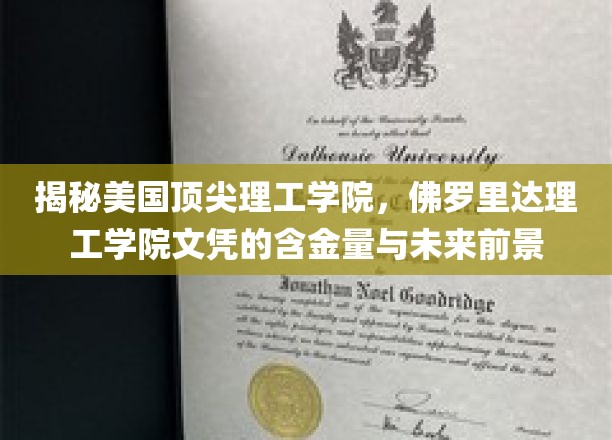 探索佛罗里达理工学院，顶尖文凭的璀璨价值与无限潜能