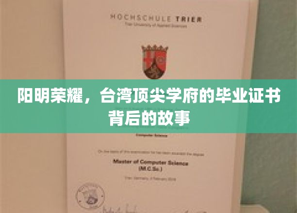 台岛精英摇篮，阳明大学毕业证书背后的传奇篇章