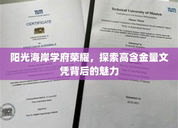 海滨学府之光，揭秘高含金量文凭的吸引力所在