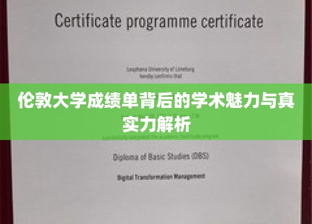 揭秘伦敦大学成绩单：学术魅力与真实力的深度剖析
