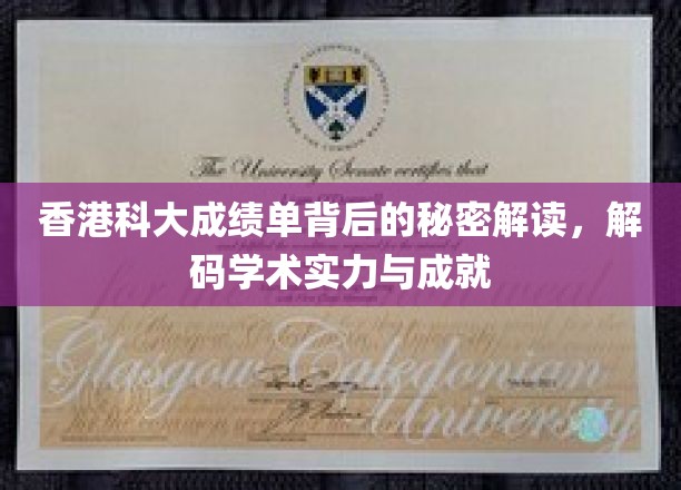 香港科大揭秘，学术成就背后的惊人秘密！