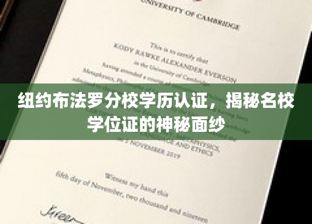 解码纽约布法罗分校学位证书，名校背后的真实认证历程