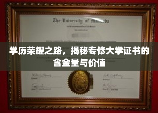 学历荣耀之路，揭秘专修大学证书的含金量与价值