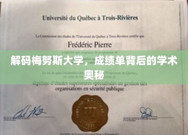 探寻梅努斯大学成绩单的深层学术秘籍