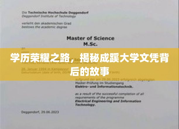 成蹊大学文凭，探寻学历荣耀背后的不凡历程