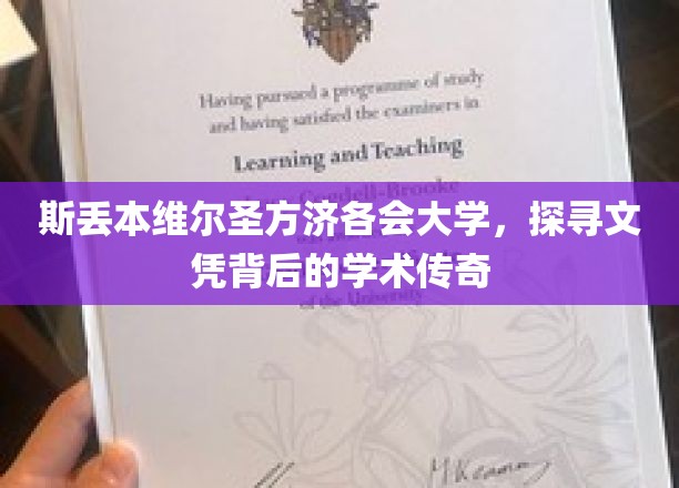 解码斯丢本维尔圣方济各会大学，文凭背后的学术奥秘