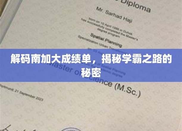 南加大学霸养成记，揭秘顶尖学府的成功密码