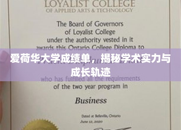 爱荷华大学成绩单，揭示学术实力与成长轨迹